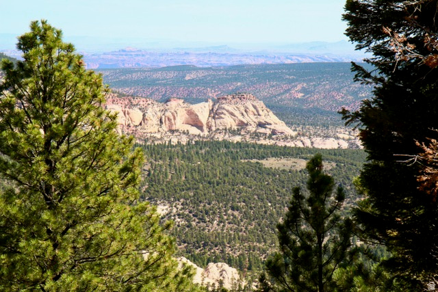 1841 E UPPER HAPPY VALLEY LOOP Teasdale, UT 84773
