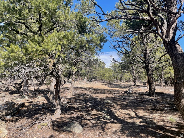 1841 E UPPER HAPPY VALLEY LOOP Teasdale, UT 84773