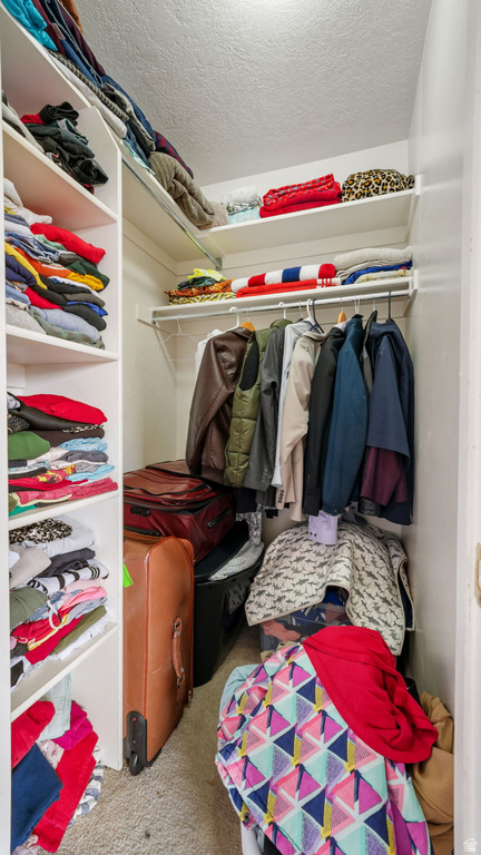 2971 S TOLMAN CREST WAY West Valley City, UT 84119