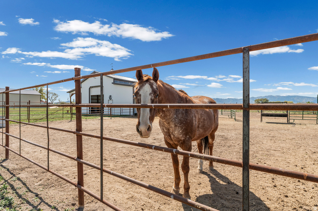 4677 N SELMA WAY Erda, UT 84074