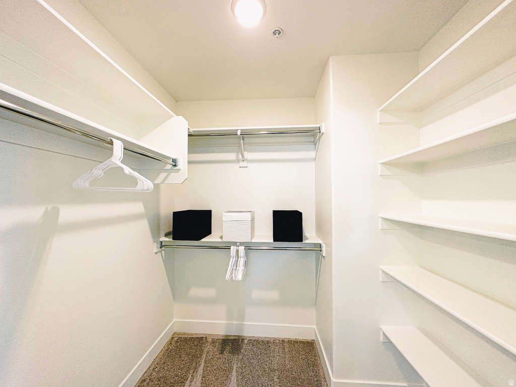 529 S 1020 W #204 American Fork, UT 84003