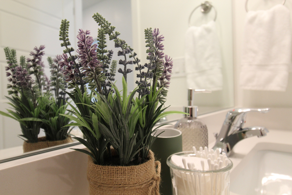 529 S 1020 W #204 American Fork, UT 84003