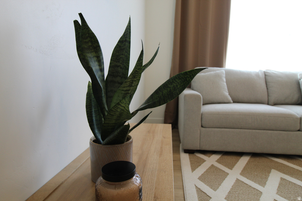 529 S 1020 W #204 American Fork, UT 84003