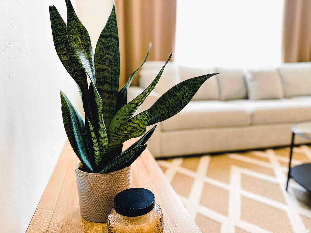 529 S 1020 W #204 American Fork, UT 84003