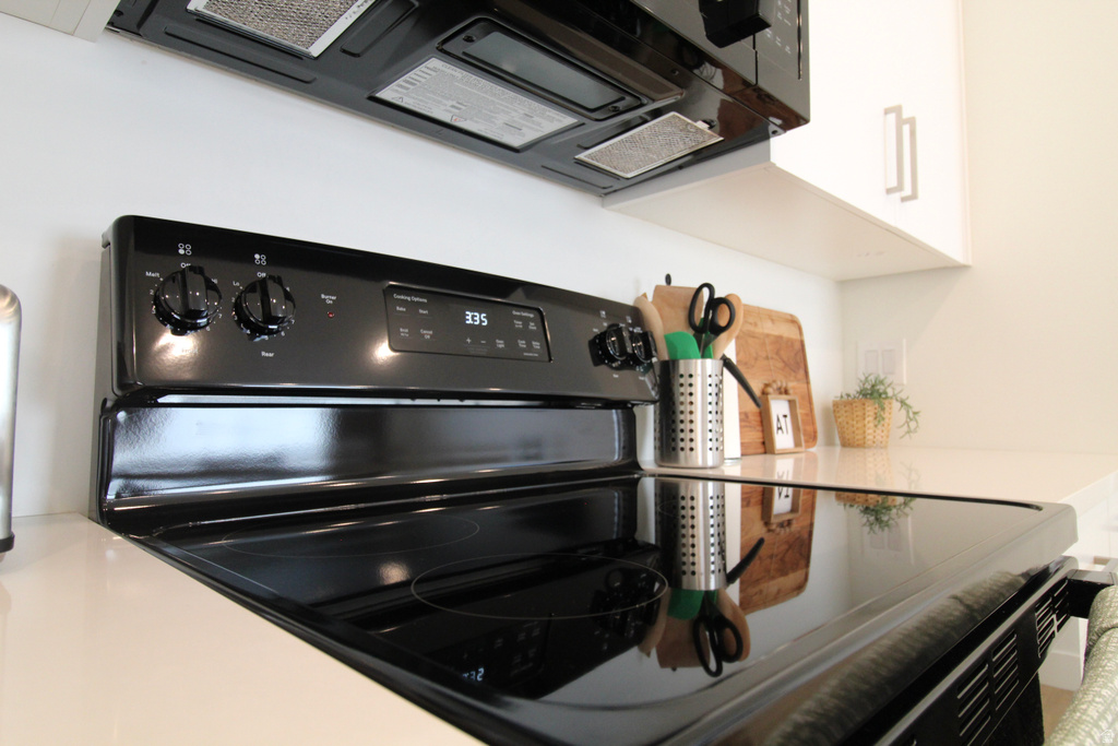 529 S 1020 W #204 American Fork, UT 84003