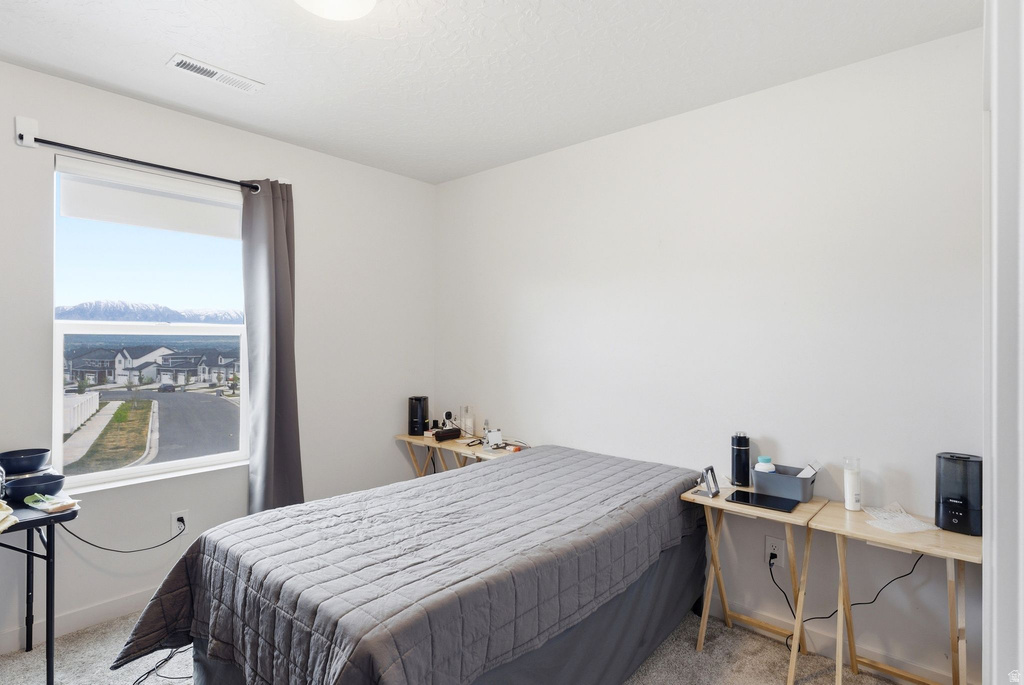 2503 N VELVET MOON DR Saratoga Springs, UT 84045