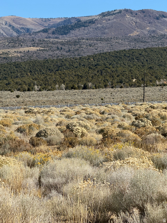  Mt Pleasant, UT 84647