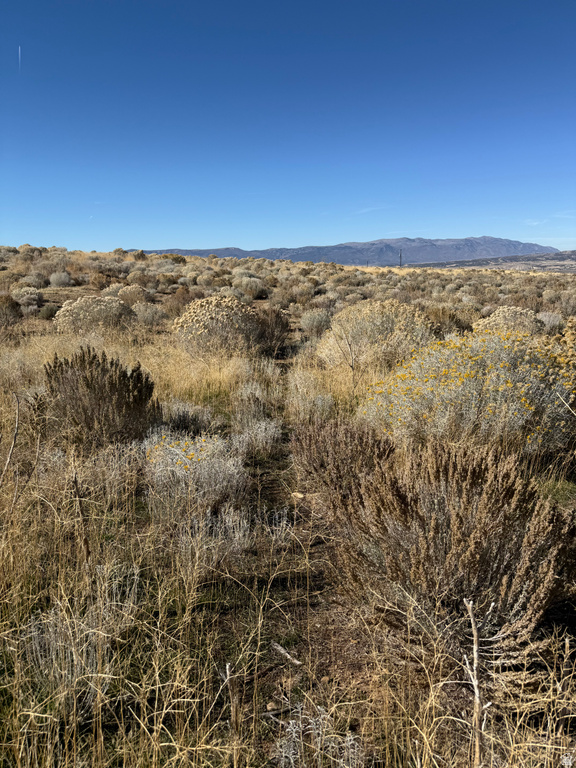  Mt Pleasant, UT 84647