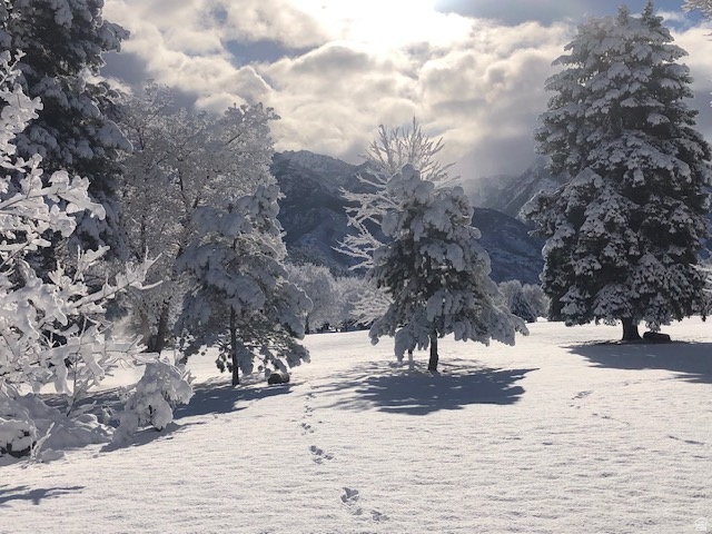 8329 S ESCALANTE DR Sandy, UT 84093