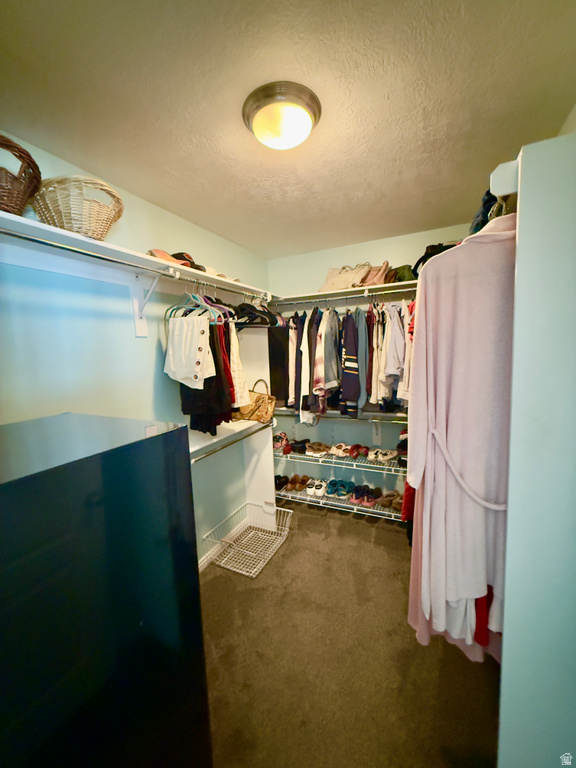 5113 W BUCKEYE VIEW WAY Riverton, UT 84096