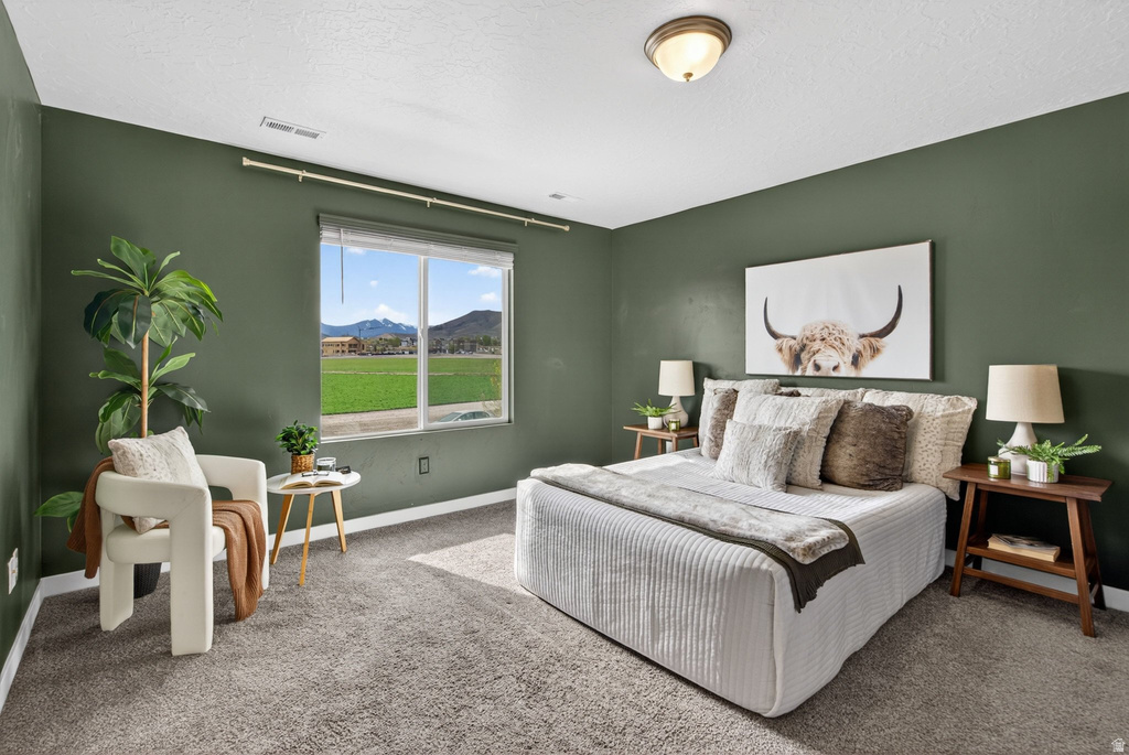 563 N WILLOW SPRINGS AVE Lehi, UT 84048