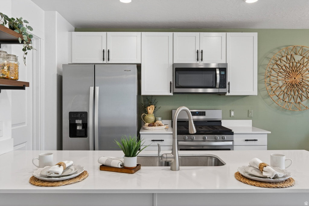 563 N WILLOW SPRINGS AVE Lehi, UT 84048