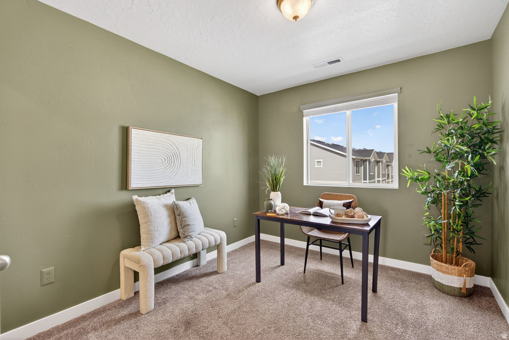 563 N WILLOW SPRINGS AVE Lehi, UT 84048