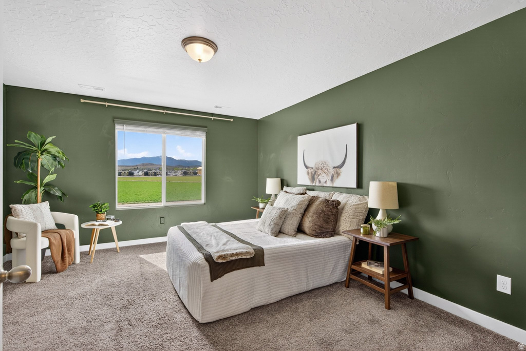 563 N WILLOW SPRINGS AVE Lehi, UT 84048