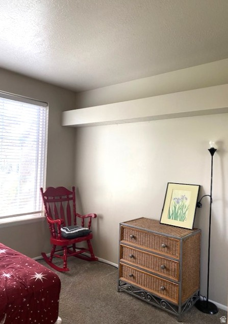 1457 W COASTAL CT Taylorsville, UT 84123