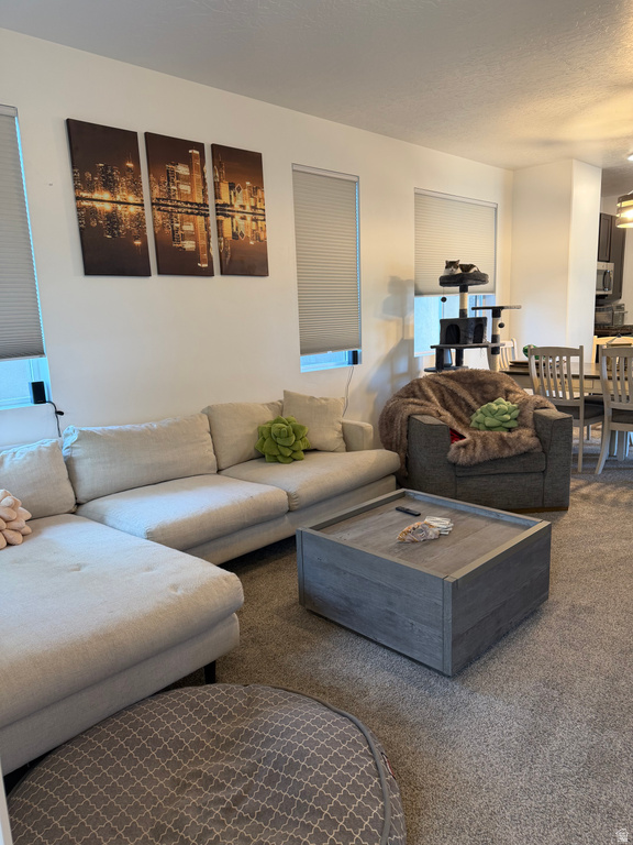 5324 W STONE HAYES DR Herriman, UT 84096