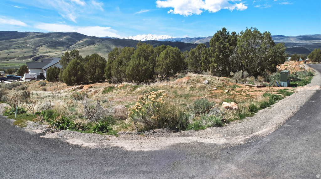 19692 S WILD HAWK CIR Birdseye, UT 84629