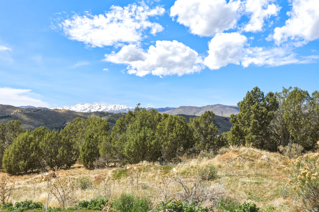 19692 S WILD HAWK CIR Birdseye, UT 84629