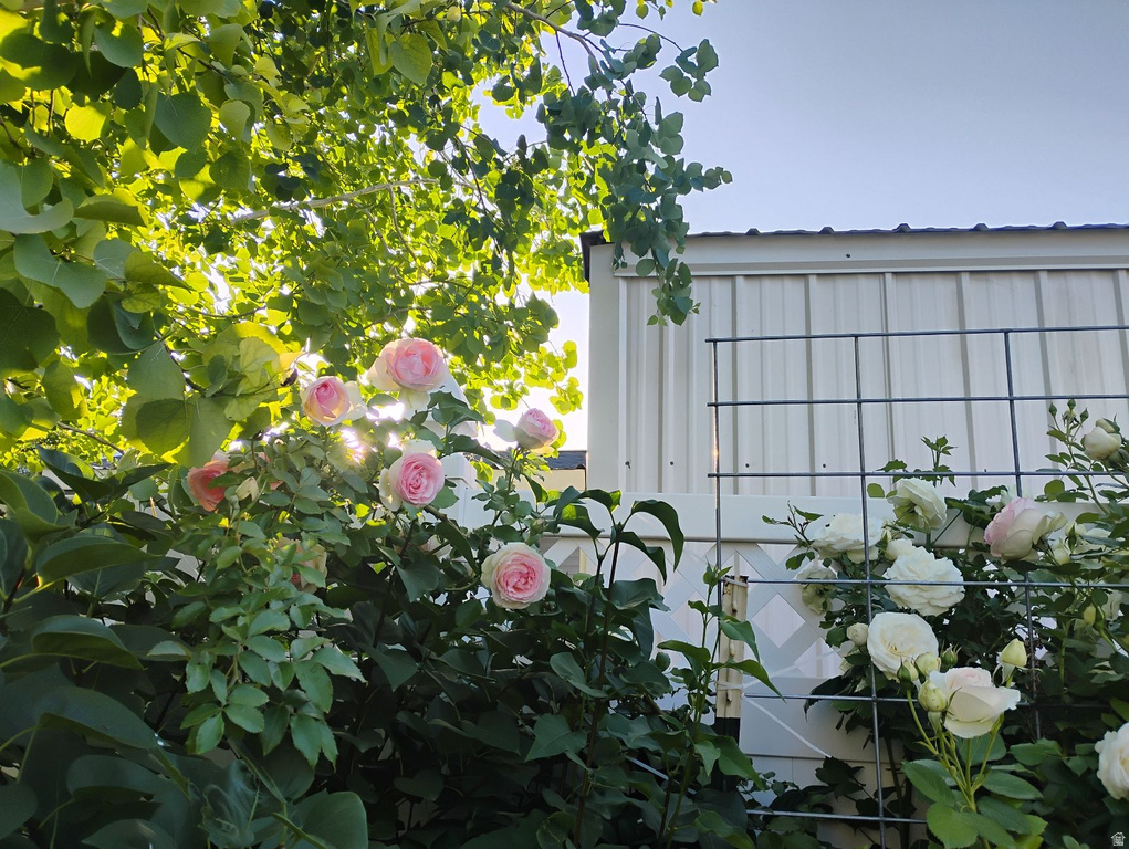 665 S 1040 E Spanish Fork, UT 84660