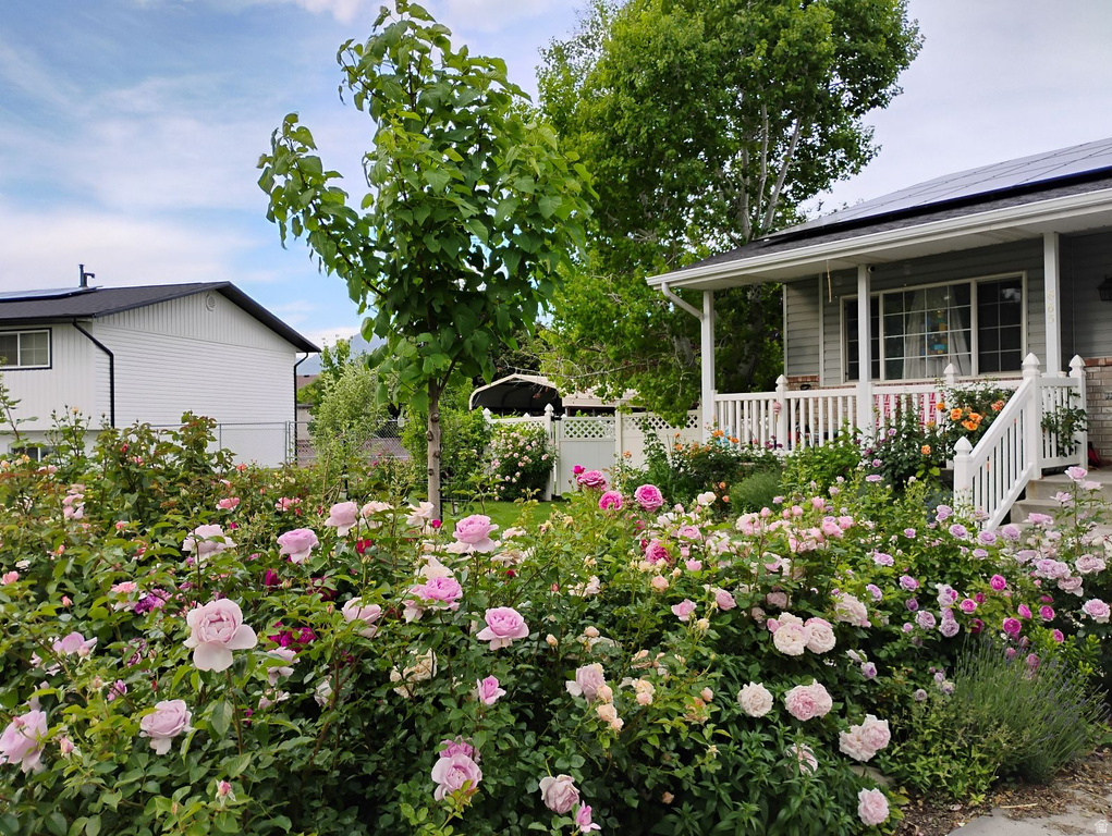 665 S 1040 E Spanish Fork, UT 84660