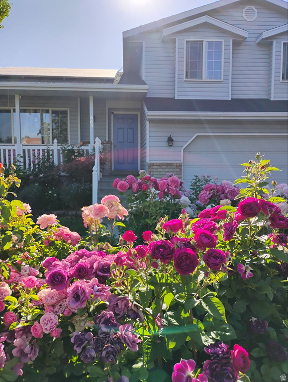 665 S 1040 E Spanish Fork, UT 84660