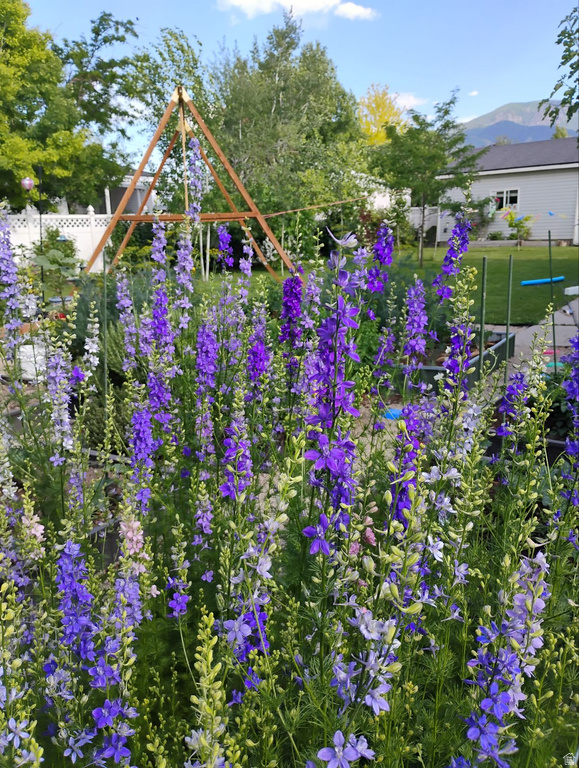 665 S 1040 E Spanish Fork, UT 84660