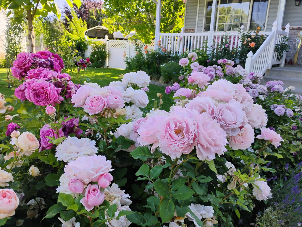 665 S 1040 E Spanish Fork, UT 84660