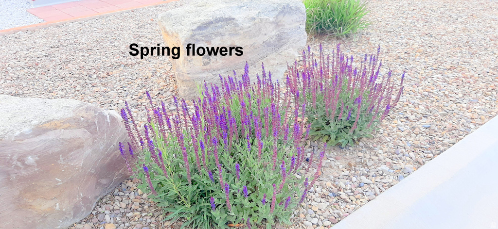 56  1261 N. MAIN ST. Moab, UT 84532