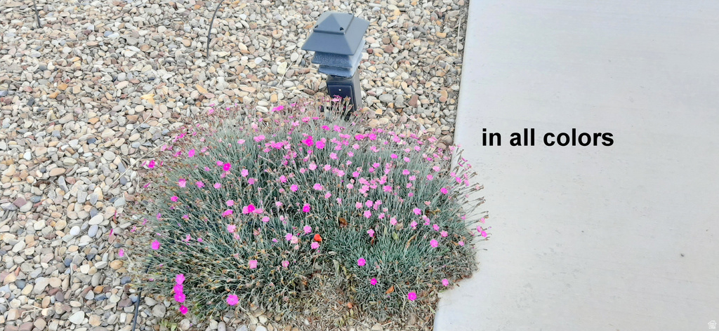 56  1261 N. MAIN ST. Moab, UT 84532