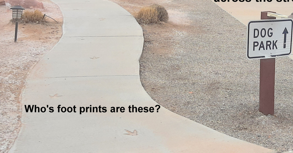 56  1261 N. MAIN ST. Moab, UT 84532