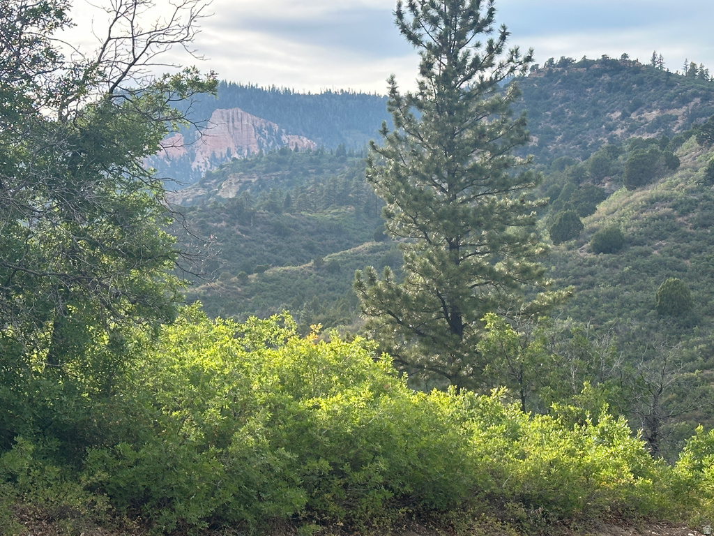 1700 S PHANTOM DR #163 Kanab, UT 84741