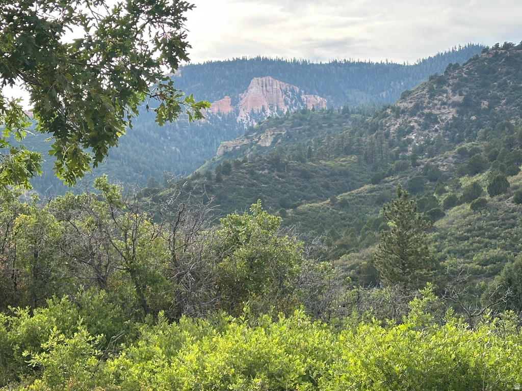 1700 S PHANTOM DR #163 Kanab, UT 84741