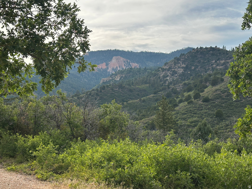 1700 S PHANTOM DR #163 Kanab, UT 84741