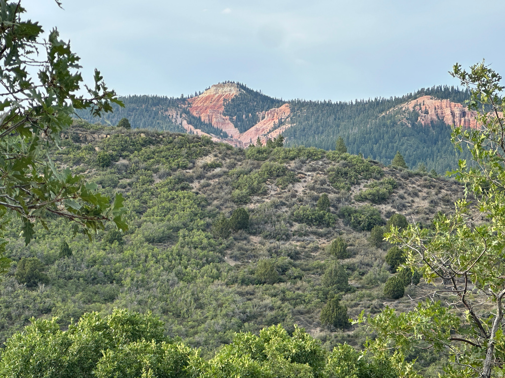 1700 S PHANTOM DR #163 Kanab, UT 84741