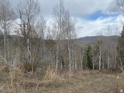 1117 W ARAPAHO DR Coalville, UT 84017