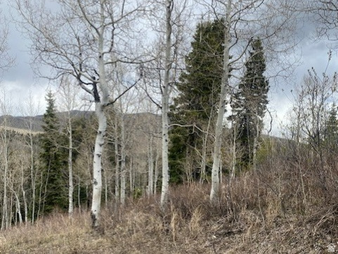 1117 W ARAPAHO DR Coalville, UT 84017