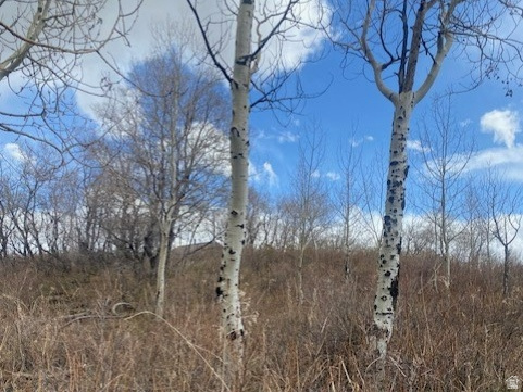 1117 W ARAPAHO DR Coalville, UT 84017