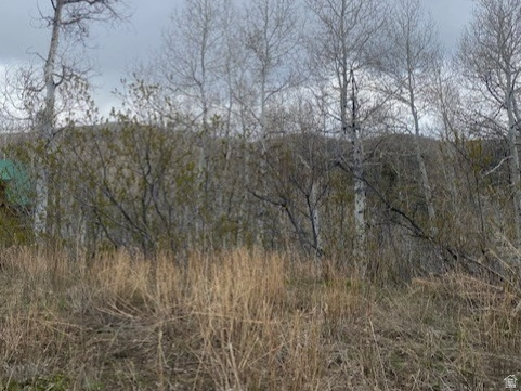 1117 W ARAPAHO DR Coalville, UT 84017