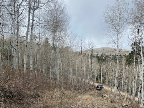 1117 W ARAPAHO DR Coalville, UT 84017