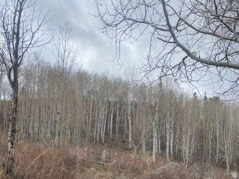 1117 W ARAPAHO DR Coalville, UT 84017