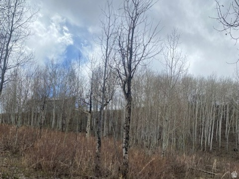 1117 W ARAPAHO DR Coalville, UT 84017