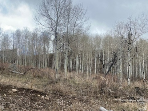 1117 W ARAPAHO DR Coalville, UT 84017