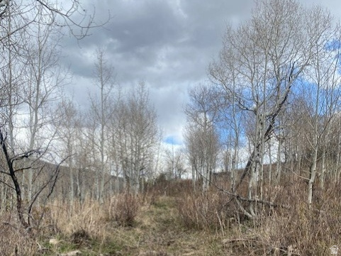 1117 W ARAPAHO DR Coalville, UT 84017