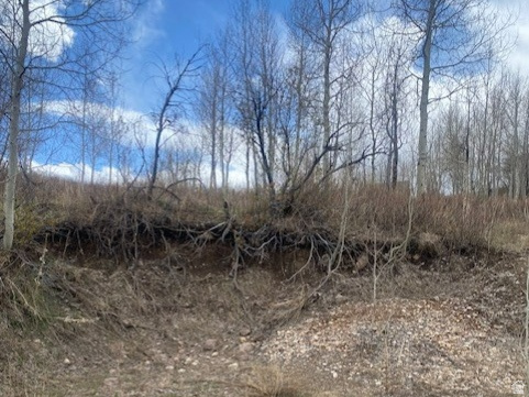 1117 W ARAPAHO DR Coalville, UT 84017