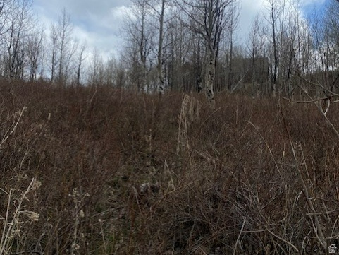 1117 W ARAPAHO DR Coalville, UT 84017