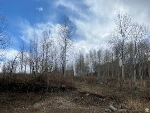 1117 W ARAPAHO DR Coalville, UT 84017