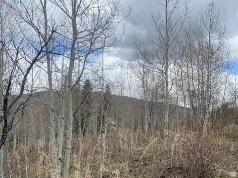 1117 W ARAPAHO DR Coalville, UT 84017