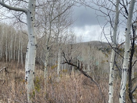 1117 W ARAPAHO DR Coalville, UT 84017