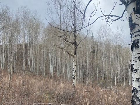 1117 W ARAPAHO DR Coalville, UT 84017