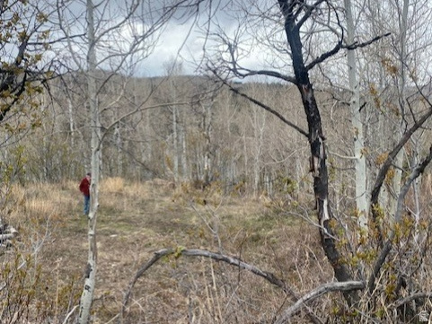 1117 W ARAPAHO DR Coalville, UT 84017